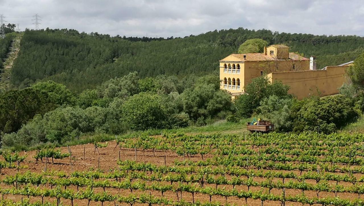 Гостевой дом Maset Del Garraf Olesa de Bonesvalls Экстерьер фото