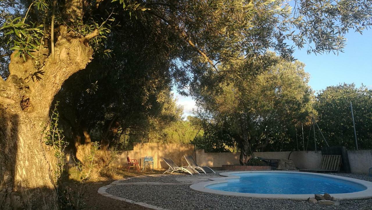 Гостевой дом Maset Del Garraf Olesa de Bonesvalls Экстерьер фото